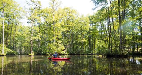 Five Places You Can Launch A Canoe Or Kayak Right Now In Raleigh N C Canoe And Kayak