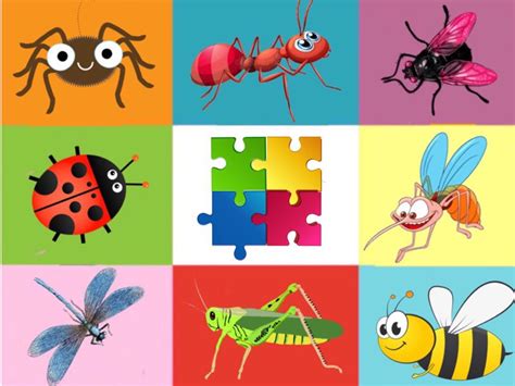 The Insect Puzzle Free Games Online For Kids In Preschool By Liat