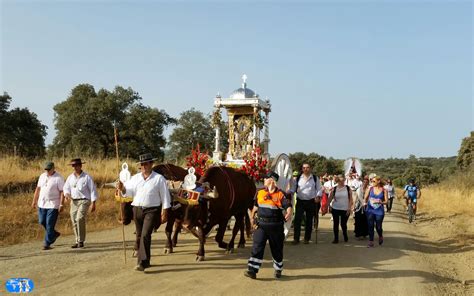 Cofrades En El Mundo La Hermandad Matriz De San Benito Abad Entr En