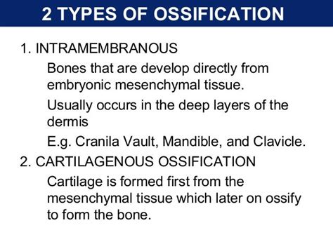 Ossification