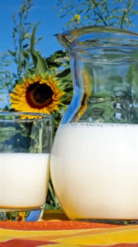 Benefits of toned milk