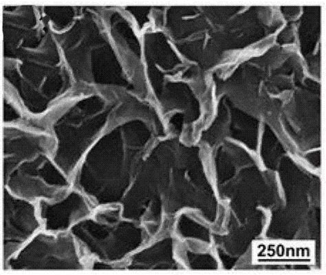 一种海绵状多孔二氧化硅纳米片的制备方法与流程