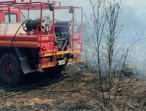 Roma brucia più di 50 incendi soltanto oggi in fiamme boschi e