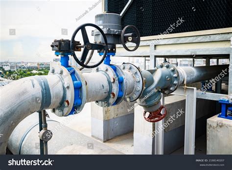 435 Pipeline Plant Butterflies Images Stock Photos Vectors