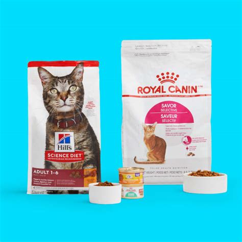 Best Brand Of Cat Food Factory Sale Cityofclovis Org