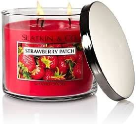 Amazon Bath And Body Works Slatkin Co Strawberry Patch Scented