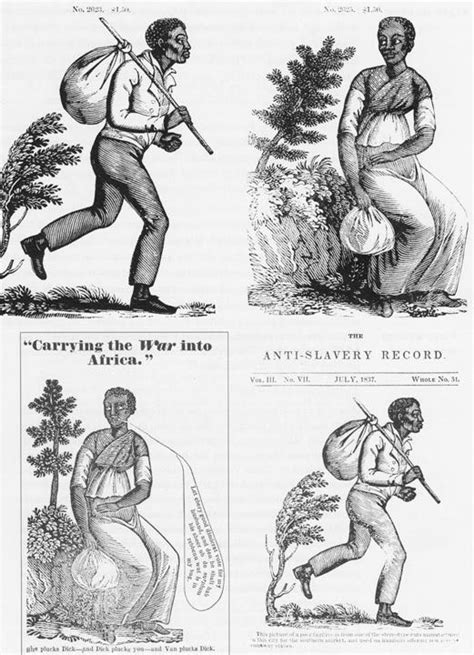 Runaway Slaves African American History Black History Facts Slavery