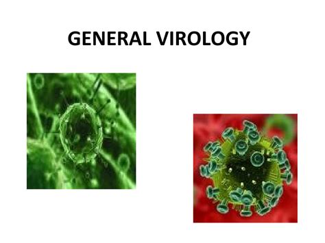 Solution General Virology Virology Mycology Viruses Questions