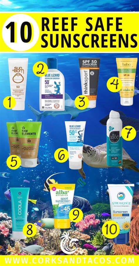 A Guide To Reef Safe Sunscreen And Top 10 Brands