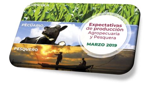 Expectativas de Producción Agropecuaria y Pesquera 2018 Servicio de