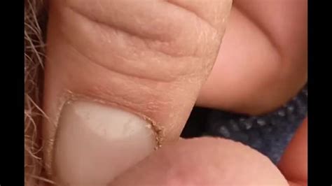 乌兹别克语 Kizlari Pornhub Gay