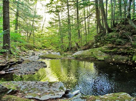 Dunn Falls Trail - Maine Trail Finder