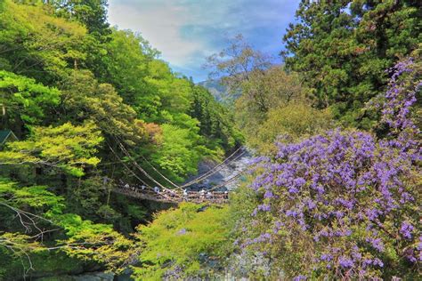 ways  enjoy  hidden iya valley  tokushimazekkei japan
