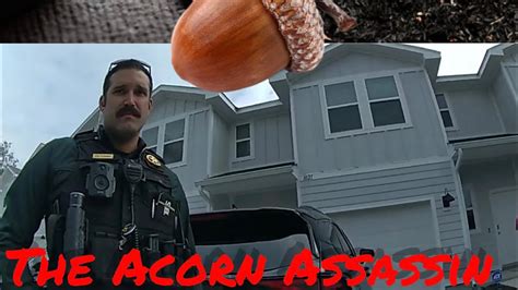 Cop Mistakes Falling Acorns For Gunshots The Acorn Assassin Youtube