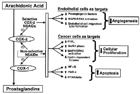 MECHANISM OF NSAIDS DRUGS The main mechanism of NSAIDs and its... | Download Scientific Diagram