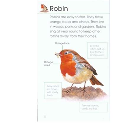 Rspb First Book Of Birds Birdwatch Ireland