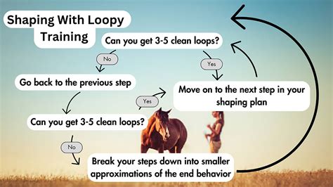 Simplify Shaping With Loopy Training