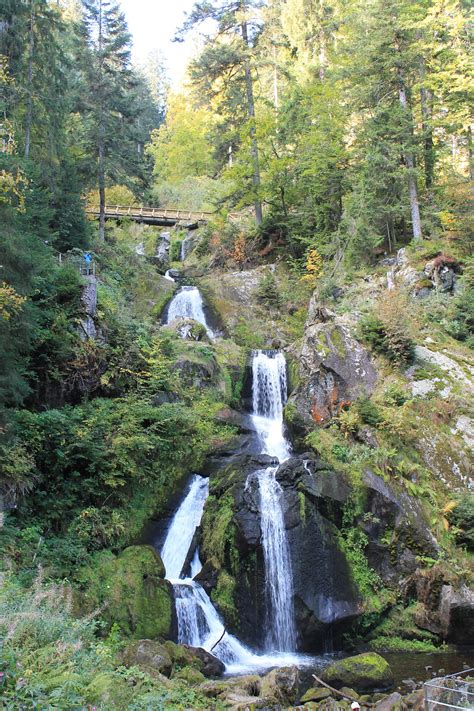 Triberger Wasserfall im Schwarzwald | Wasserfall schwarzwald, Triberger ...