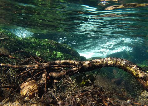 Free Images Landscape Sea Tree Water Nature Forest Rock