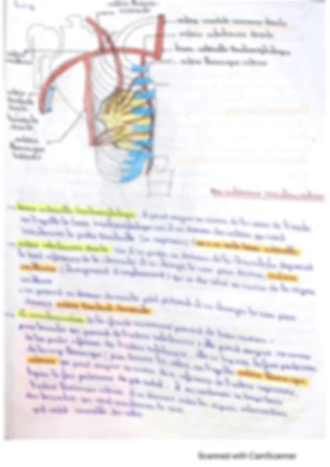 Solution La Glande Mammaire Studypool