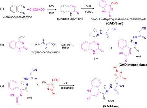 Schematic Representation Of The Synthesis Of Novel Quinazoline