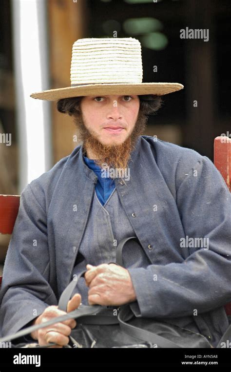 Young Amish farmer on the way to market in a buggy in USA some with ...