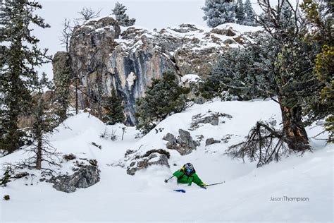 Skiing at Bridger Bowl Community Ski Area, Bozeman Montana - SnowBrains