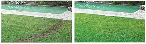 Hydro Mousse 17000 6 Liquid Lawn Bermuda Grass Seed Spray N Stay Upto 500 Sqft