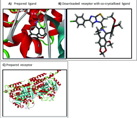 Ligand Structure Co Crystallized Receptor And The Prepared Receptor