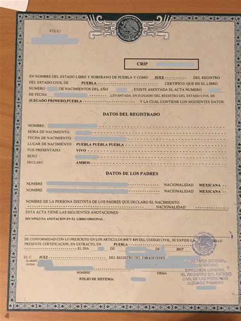 Certificado De Nacimiento Mexico Hot Sex Picture