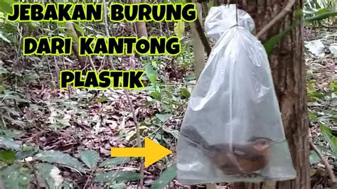 JEBAKAN BURUNG UNIK DARI KANTONG PLASTIK PART 2 YouTube