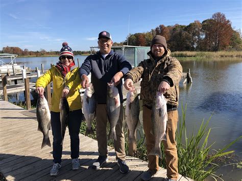 Santee Cooper Fishing Tours Striper Bass Catfish And More