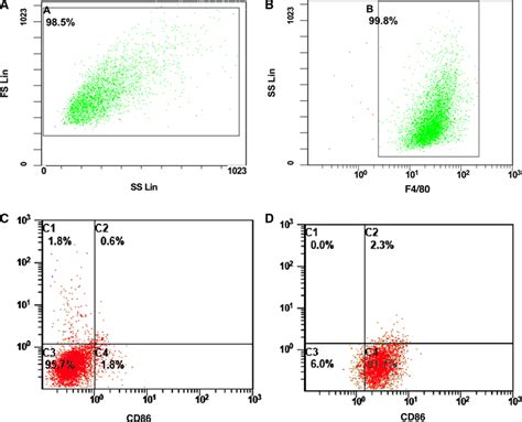 Flow Cytometry Was Used To Identify The Primary Cultured Macrophages Download Scientific