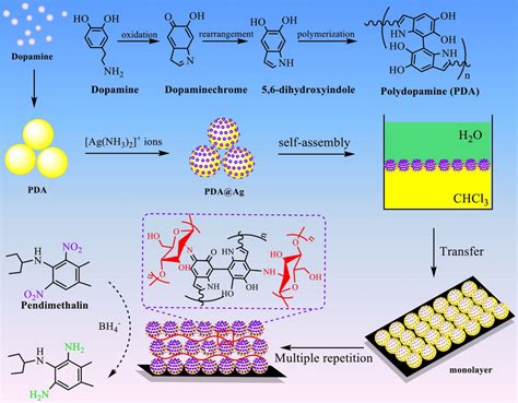 Preparation Process Of The Pda Ag Ps Chitosan Films And Its Catalytic