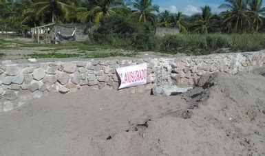 Clausura Profepa Dos Obras Por Carecer De Autorizaci N En Materia De