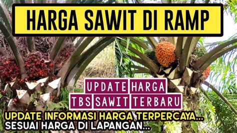 Berita Harga Sawit Hari Ini Di Riau Harga Sawit Hari Ini Part 202