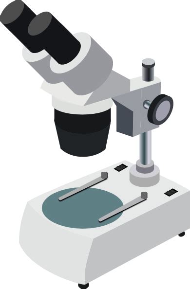 Microscope Clip Art at Clker.com - vector clip art online, royalty free ...