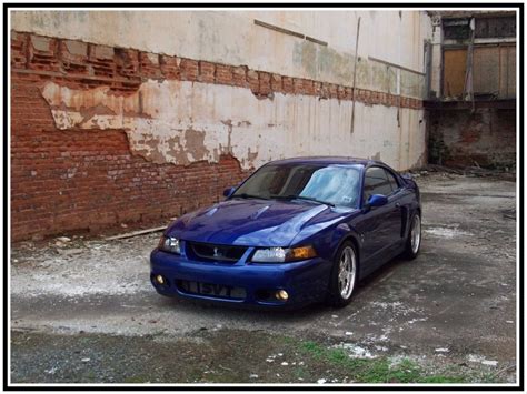 03-04 Mustang Cobra - Honda-Tech