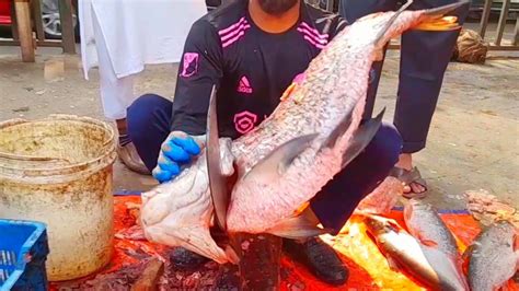 Amazing Giant Katla Fish Cutting By Expert Fish Cutter Fish Cutting In