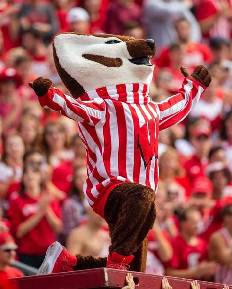 Wisconsin Badgers On Instagram Happy Birthday Bucky Badger