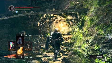 Dark Souls Forest Soul Farming HD Easy Method YouTube