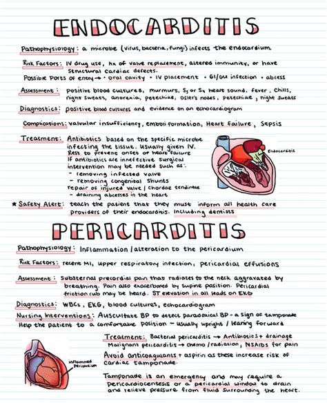 Become A Supporter Of Ceces Study Guides Today Ko Fi Lets You