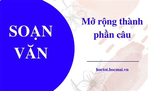 Câu mở rộng thành phần là gì Tìm hiểu chi tiết và ví dụ minh họa