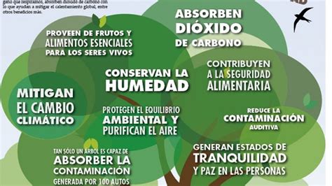 INFOGRAFÍA La importancia del árbol en la tierra La Tribuna