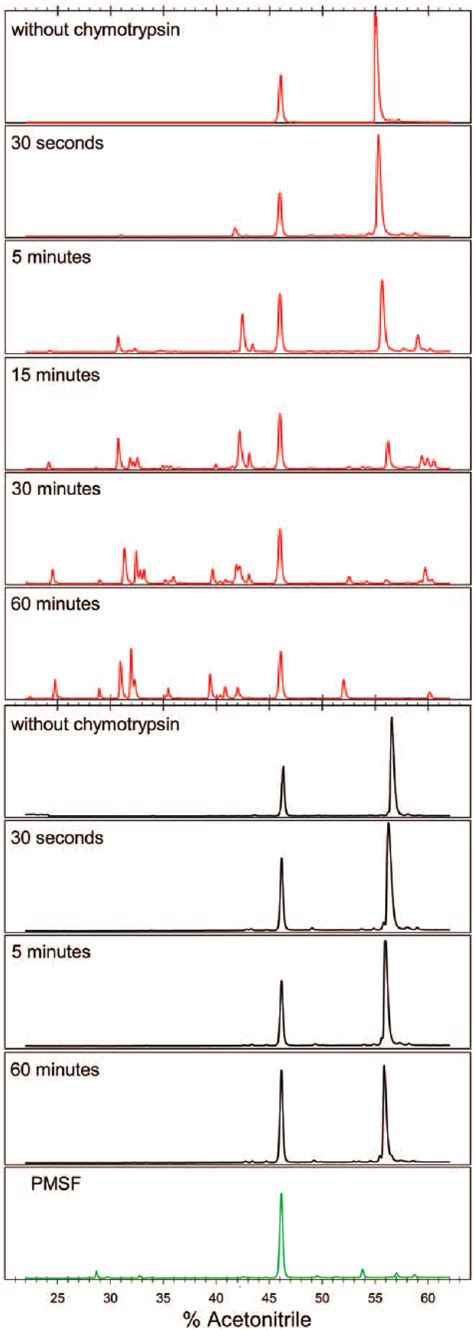 Controlled Proteolysis Of Hfxn Experiments Were Followed By