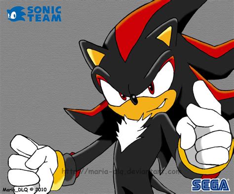 Shadow The Hedgehog - Shadow The Hedgehog Photo (10027764) - Fanpop