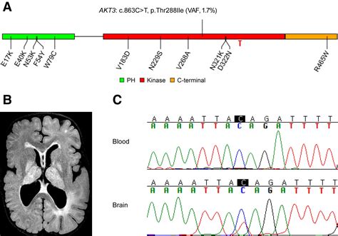 Detecting Low Variant Allele Frequency Mosaic Pathogenic Variants Of