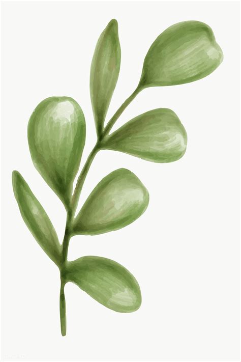 Hand Drawn Green Leaves Transparent Png Premium Image By Rawpixel