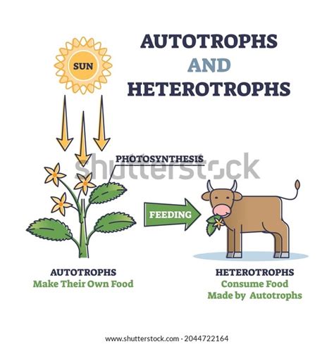 3,812 Primary Producers Images, Stock Photos & Vectors | Shutterstock