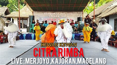 Kewan Kewan Bocil Topeng Ireng Citra Rimba Live Merjoyo Kajoran